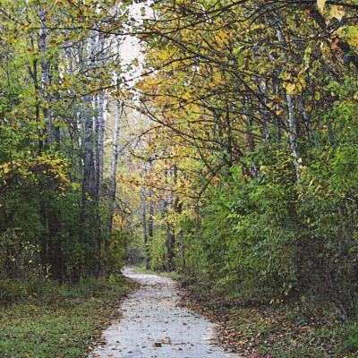 Autum Trail- Indian Creek, Leawood, Ks by Linda Yvonne Pricing Limited Edition Print image