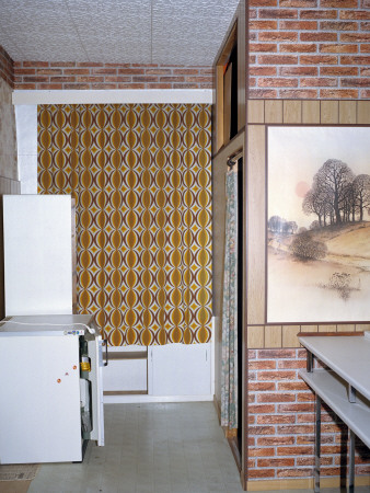 A Little Fridge In A House by Asa Franck Pricing Limited Edition Print image
