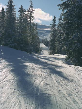 A Ski Slope And Trees In Trysil, Norway by Helena Bergengren Pricing Limited Edition Print image
