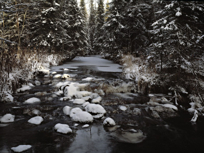 Partly Frozen Brook In A Forest, Pudasjarvi, Finland by Kalervo Ojutkangas Pricing Limited Edition Print image