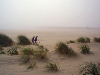 Girls In Blowing Sand by Lawatha Wisehart Pricing Limited Edition Print image