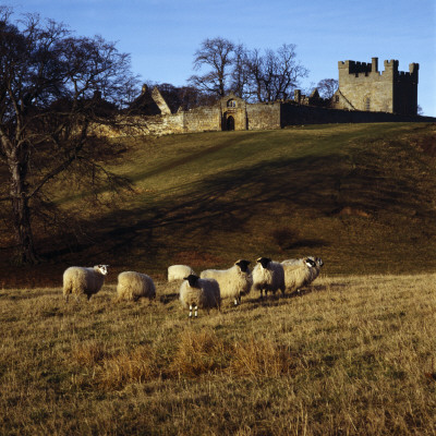 Alnwick Castle, Home Farm And Hulne Priory, Hulne Park, Northumberland, England by Mark Fiennes Pricing Limited Edition Print image