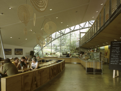 Eden Project, St Austell Cornwall, Interior Of Cafe At The Link Building by Charlotte Wood Pricing Limited Edition Print image