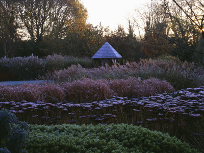 The Summerhouse Seen Across Frosted Grasses, Sedums And Hebes, Winter, Designer: Duncan Heather by Clive Nichols Pricing Limited Edition Print image