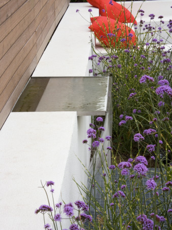 Minimalist Garden Designed By Wynniatt-Husey Clarke: Water Feature Beside White Rendered Wall by Clive Nichols Pricing Limited Edition Print image