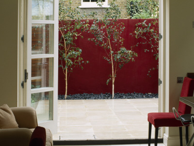 Roof Terrace With Red Wall And Betula Utilis Jacquemontii, Designer: Wynniatt - Husey Clarke by Clive Nichols Pricing Limited Edition Print image