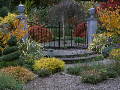 Lakemount, Ireland - Entrance To Paved Garden, Surrounded By Autumnal Border, Designer: Brian Cross by Clive Nichols Pricing Limited Edition Print image