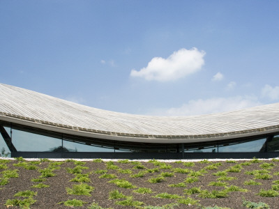 The Savill Building, Windsor Great Park, Surrey, 2006, Curved Roof Elevation, Savill Gardens by Ben Luxmoore Pricing Limited Edition Print image