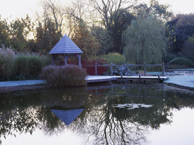 Summerhouse, Wooden Bridge Across Pool In Winter With Cornus And Tree Reflections, Duncan Heather by Clive Nichols Pricing Limited Edition Print image