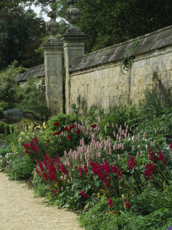 Oxford Botanic Garden Planted With Gladiolus Communis Byzantinus And Polygonum Bistorta Superbum by Clive Nichols Pricing Limited Edition Print image