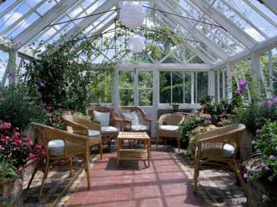 Interior Of Conservatory, Bosvigo by Clive Nichols Pricing Limited Edition Print image