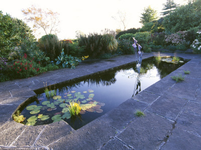 View Over Lily Pond, Designer: Brian Cross, Lakemount, Ireland by Clive Nichols Pricing Limited Edition Print image