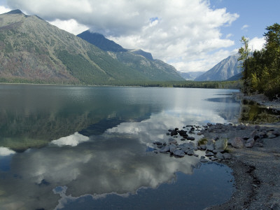 Mcdonald Lake, Glacier National Park, Montana, Usa by Natalie Tepper Pricing Limited Edition Print image