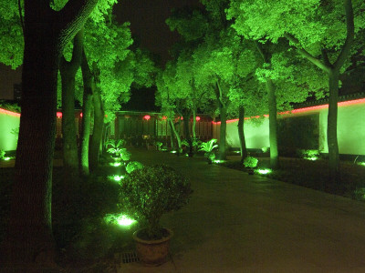 Night View, Garden, Nanjing, China by Natalie Tepper Pricing Limited Edition Print image