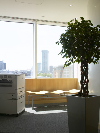 Office Life And Interiors Part Two, Quiet Corner Of The Office by Tim Mitchell Pricing Limited Edition Print image
