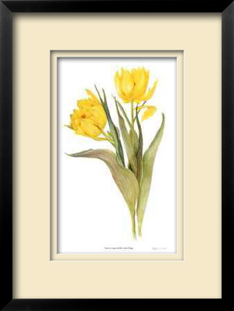 Double Early Tulips by Pamela Stagg Pricing Limited Edition Print image
