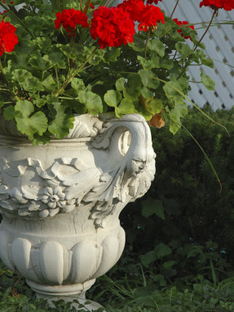 Geraniums In Urn, Saratoga Springs, New York, Usa by Lisa S. Engelbrecht Pricing Limited Edition Print image
