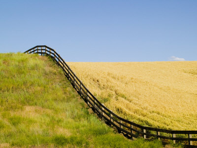 Fenceline Rolling Over Hillside, Palouse Country, Washington, Usa by Terry Eggers Pricing Limited Edition Print image