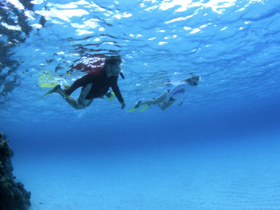 Snorkelling In Niuatoputapu Lagoon, Tonga by Michael Defreitas Pricing Limited Edition Print image