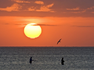 Fishermen Wading In Laguna Madre, Texas, Usa by Larry Ditto Pricing Limited Edition Print image