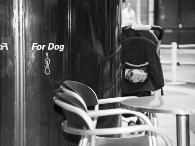 For Dog, Tokyo by Eloise Patrick Pricing Limited Edition Print image