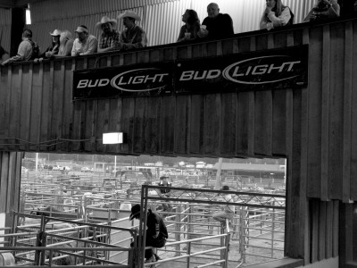 Bud Light, Santa Barbara Rodeo by Eloise Patrick Pricing Limited Edition Print image