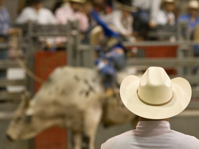 White Hat, Pink Shirt, Santa Barbara Rodeo by Eloise Patrick Pricing Limited Edition Print image