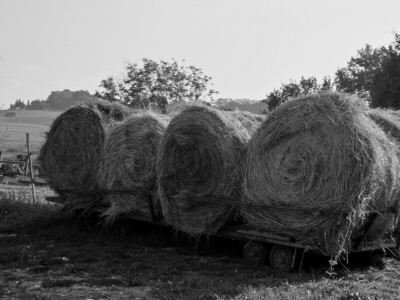 Autumn Hay, Siena by Eloise Patrick Pricing Limited Edition Print image