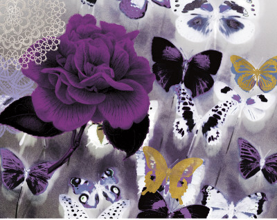 Butterfly Collage Magenta by Evangeline Taylor Pricing Limited Edition Print image