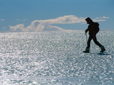 A Hiker Traverses Bare Glacial Ice Near The Patriot Hills by Gordon Wiltsie Pricing Limited Edition Print image