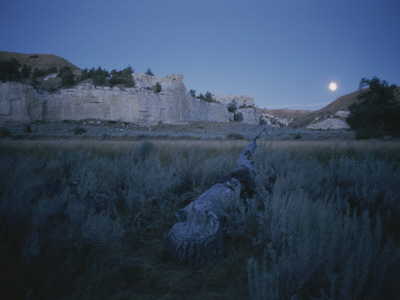 Landscape Shot Of Grasslands, With White Cliffs In The Background by Sam Abell Pricing Limited Edition Print image