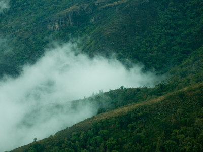 Fog Shrouded Valley In Lush Green Mountains Of Kenya by Beverly Joubert Pricing Limited Edition Print image