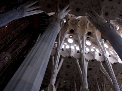 Looking Up In The Interior Of The Sagrada Familia Cathedral By Gaudi by Stephen Sharnoff Pricing Limited Edition Print image