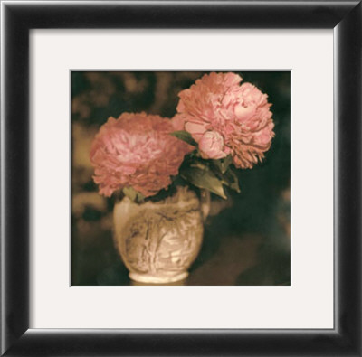 Imperial Peony I by Joann T. Arduini Pricing Limited Edition Print image