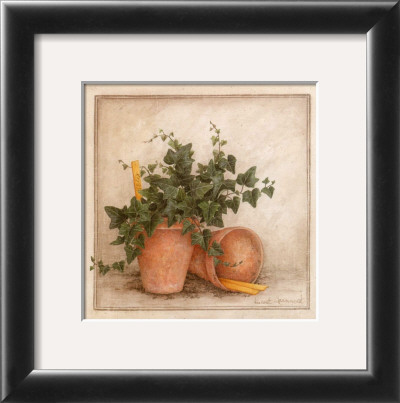 Lierre Et Pots I by Vincent Jeannerot Pricing Limited Edition Print image
