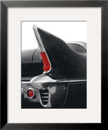 Black Tailfin by Matt Mccarthy Pricing Limited Edition Print image