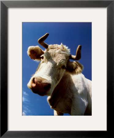 Close Friend by Jean-Baptiste Laissard Pricing Limited Edition Print image