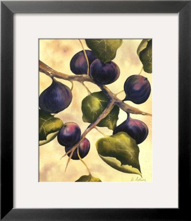 Italian Harvest, Figs by Doris Allison Pricing Limited Edition Print image