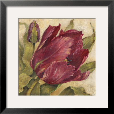 Scarlet Tulip by Kathryn White Pricing Limited Edition Print image