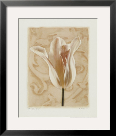 Chiaroscuro Ii by Amy Melious Pricing Limited Edition Print image