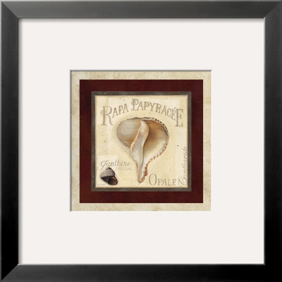 Rapa Papyracee by Lisa Audit Pricing Limited Edition Print image