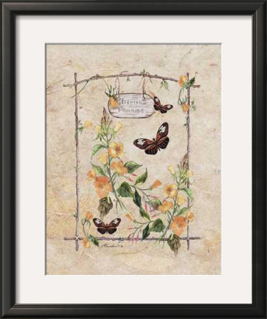 Primrose Butterfly by Consuelo Gamboa Pricing Limited Edition Print image