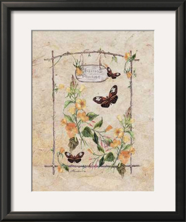 Primrose Butterfly by Consuelo Gamboa Pricing Limited Edition Print image