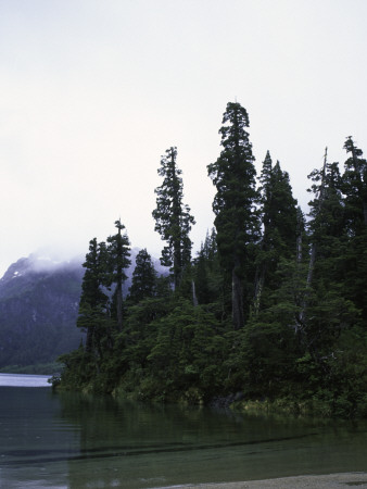 Calm Lake With Trees, Chile by Michael Brown Pricing Limited Edition Print image