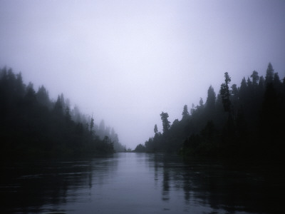 Foggy River, Chile by Michael Brown Pricing Limited Edition Print image