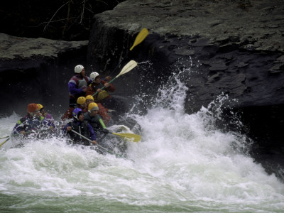 Whitewater Rafting, Usa by Michael Brown Pricing Limited Edition Print image