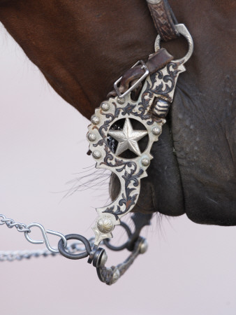 Fancy Silver Bit On Horse Bridle Of Cowboy, Flitner Ranch, Shell, Wyoming, Usa by Carol Walker Pricing Limited Edition Print image