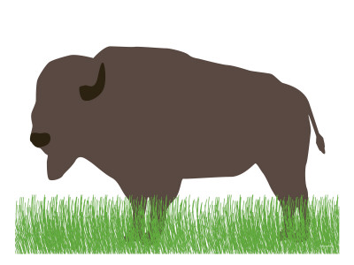 Buffalo by Avalisa Pricing Limited Edition Print image
