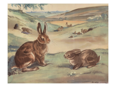 Woffly The Rabbit And Quick Ears The Hare by Eileen Soper Pricing Limited Edition Print image