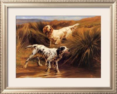 English Setters In A Marshland by Thomas Blinks Pricing Limited Edition Print image